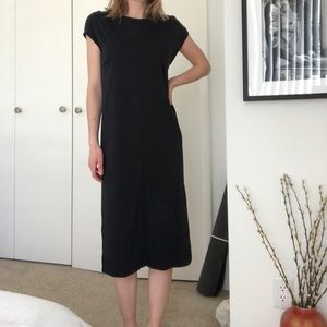 Everlane supima cotton dress